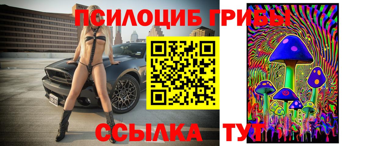 Лобня  Псилоцибиновые грибы Cubensis  Вход с VPN 